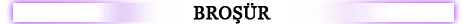 bro��rbanner